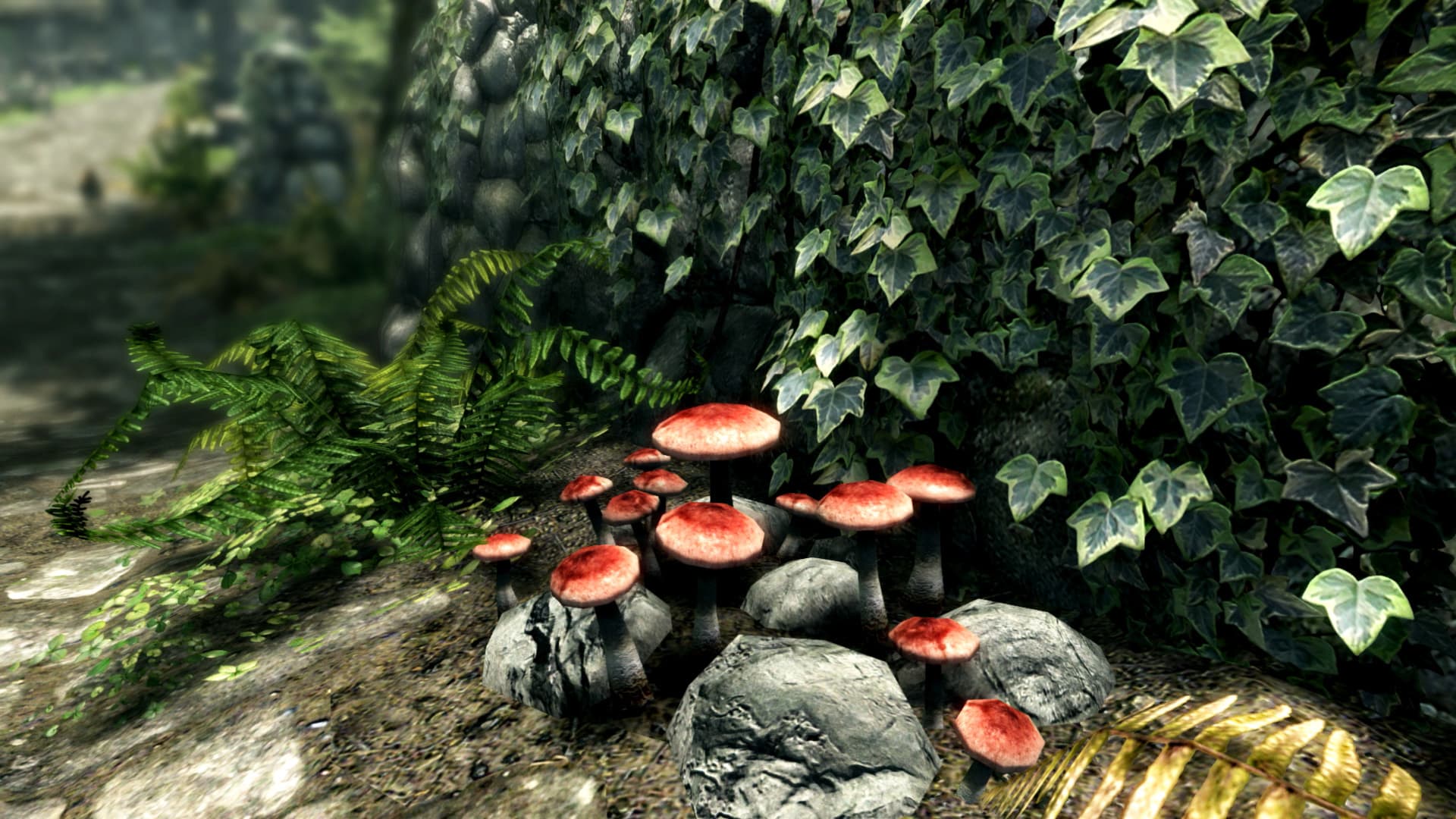 The Elder Scrolls V: Skyrim Anniversary Edition - 6