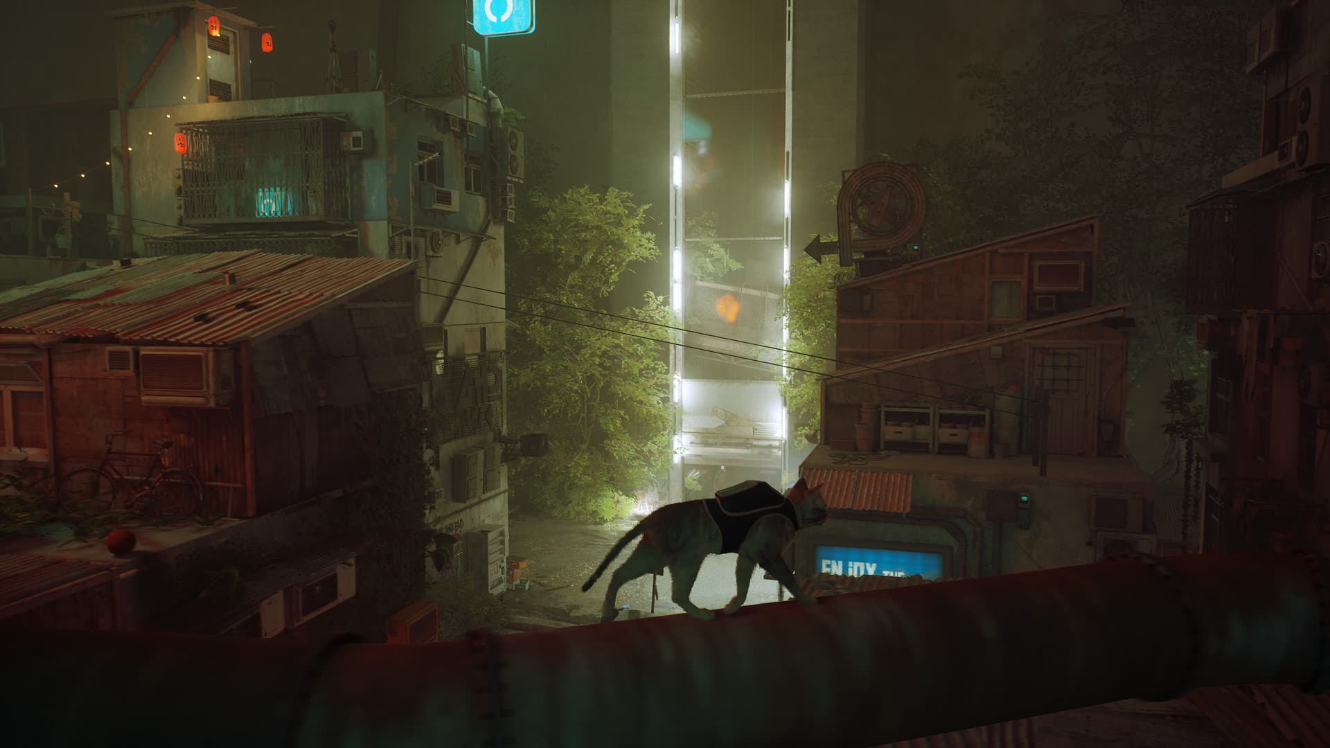 Stray - 2