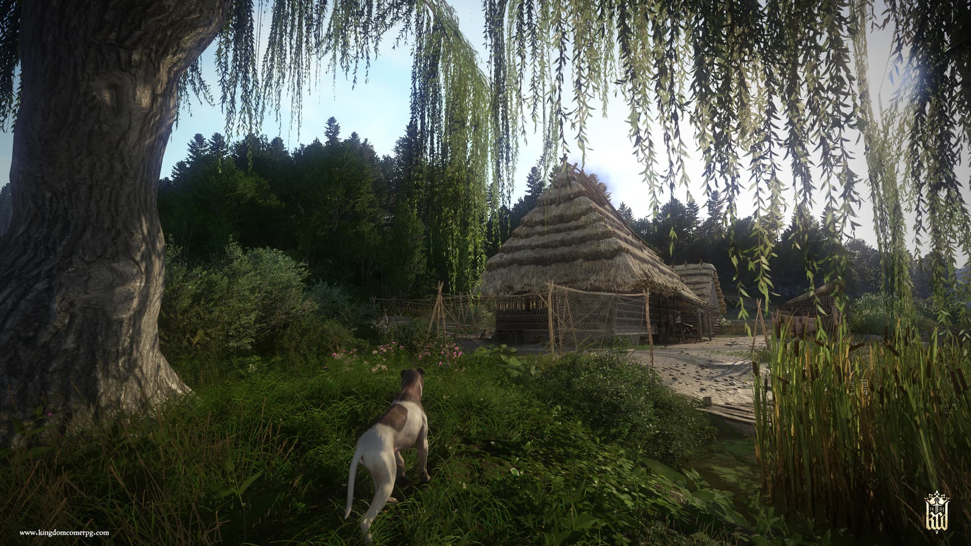 Kingdom Come: Deliverance - 7