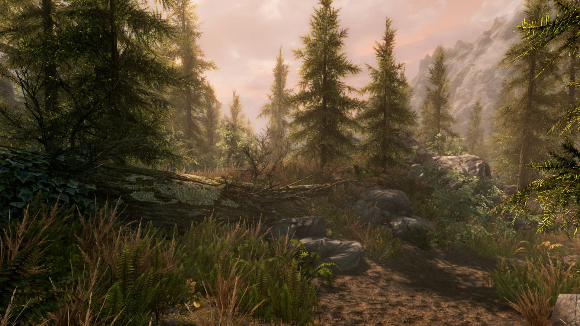 The Elder Scrolls V: Skyrim Anniversary Edition - 7