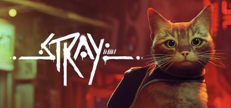 Stray