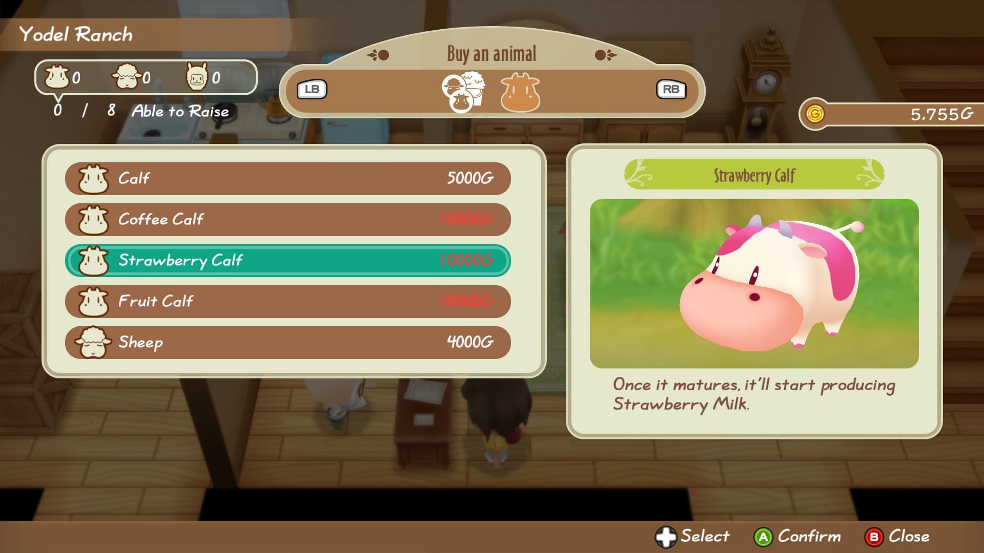 Story of Seasons: Friends of Mineral Town - 8