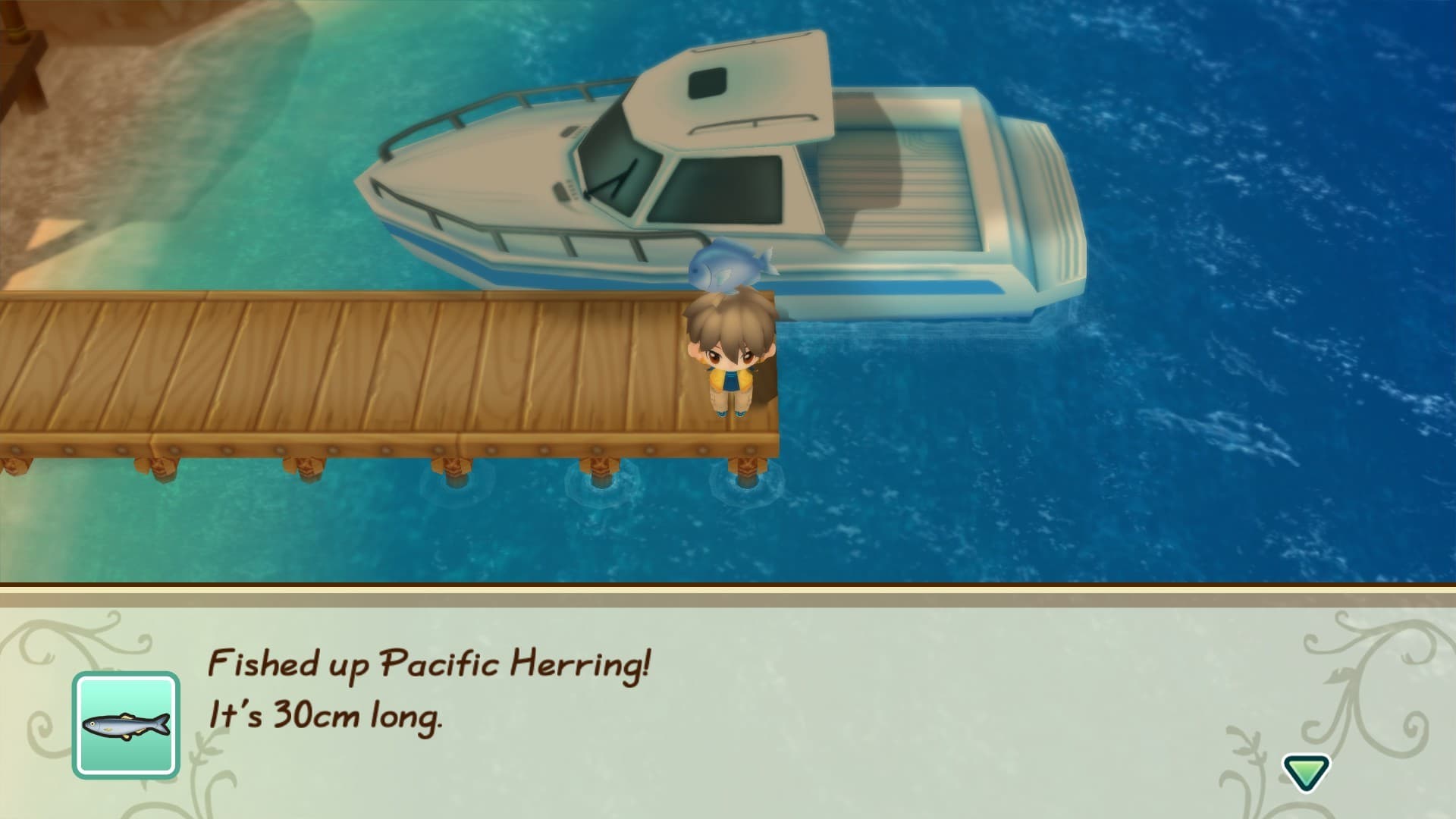 Story of Seasons: Friends of Mineral Town - 5