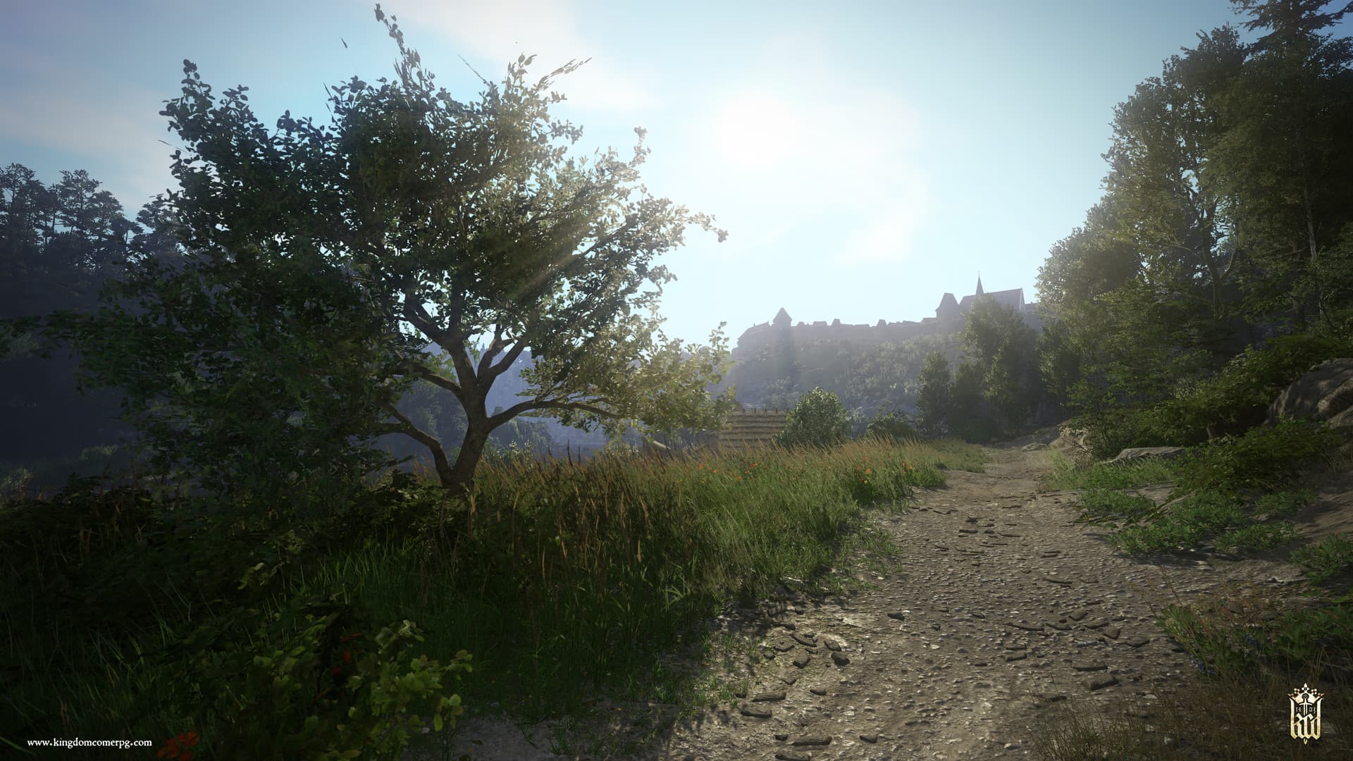 Kingdom Come: Deliverance - 8