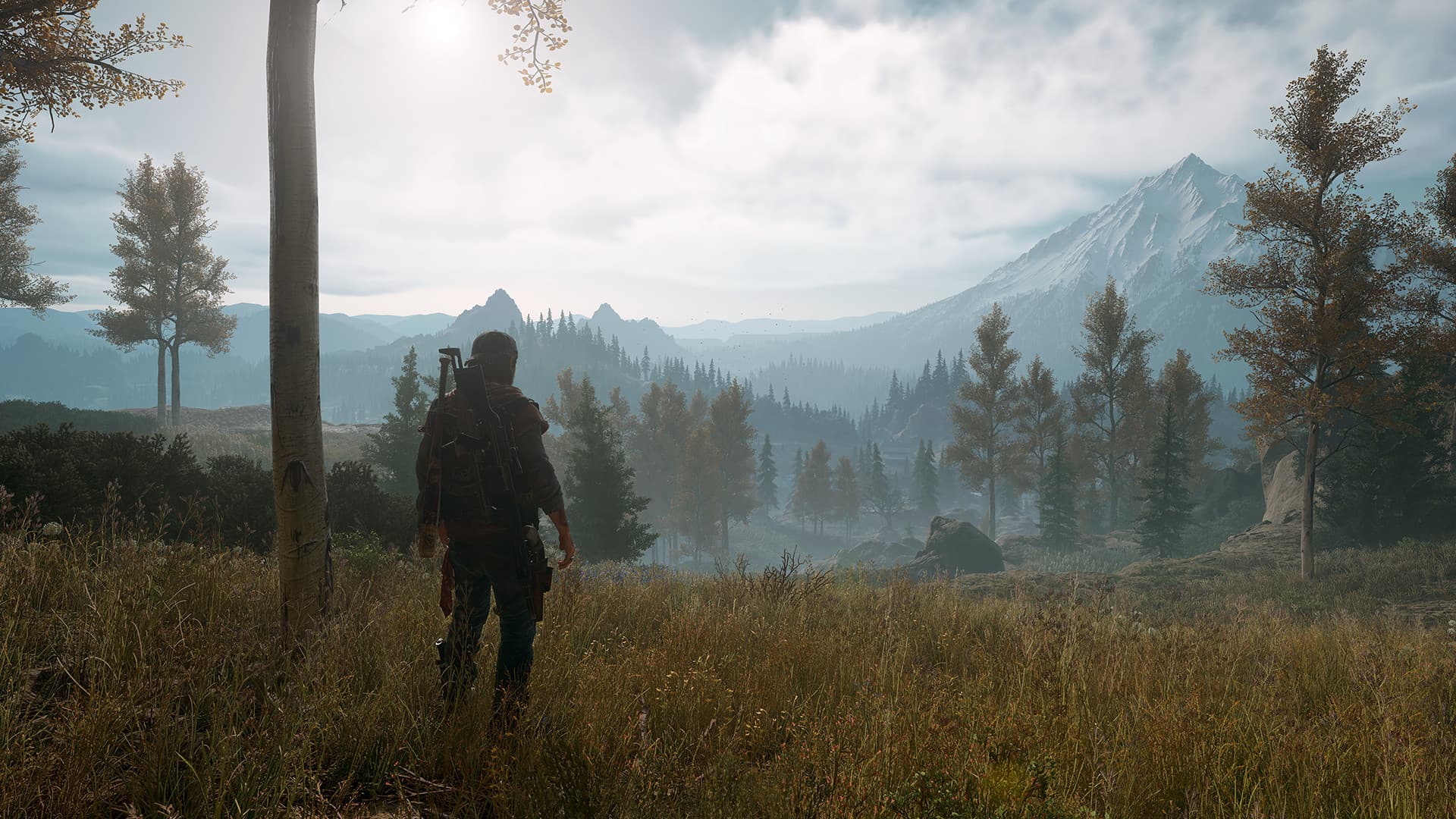 Days Gone - 6