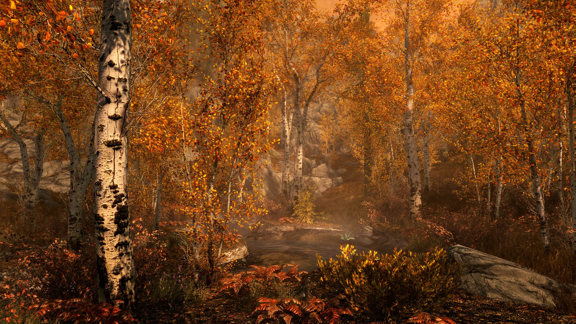 The Elder Scrolls V: Skyrim Anniversary Edition - 3