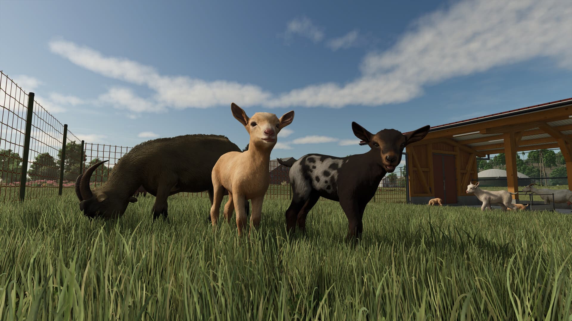 Farming Simulator 25 + 4 DLC - 2