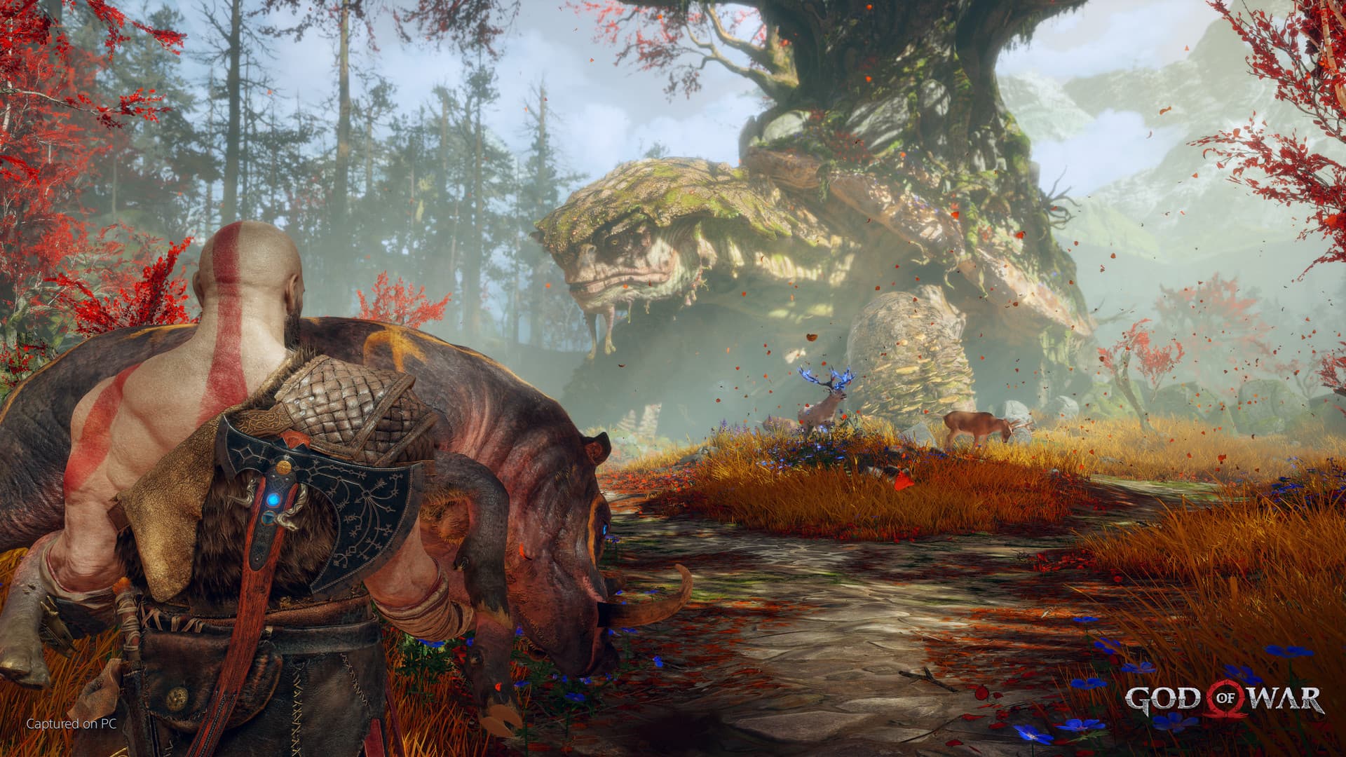 God of War - 8